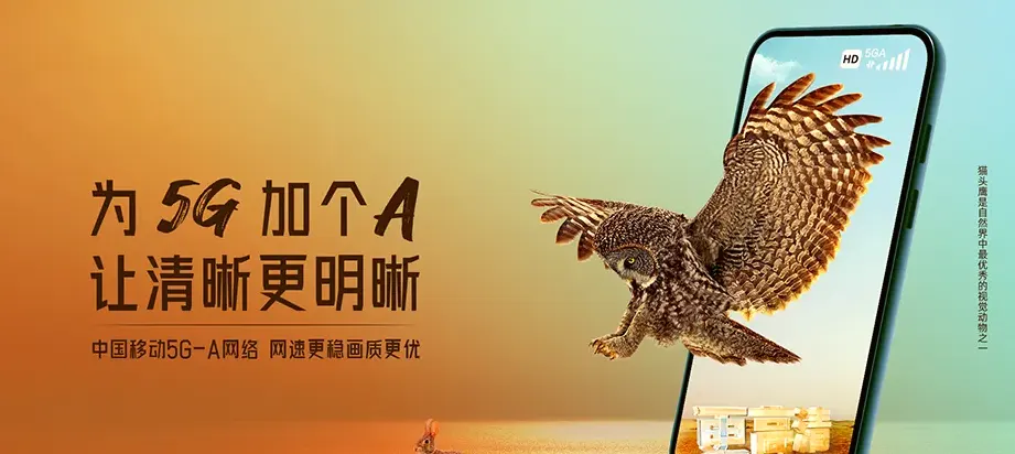 阳东区阳东区那龙镇 移动宽带