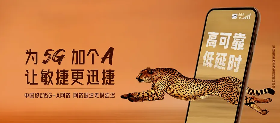 阳东区阳东区红丰镇 移动宽带